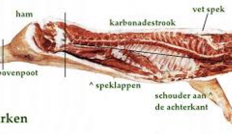 Promotie van de maand: (half) varken